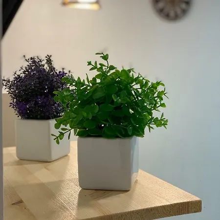 Апартаменты Возле Моря Apartment